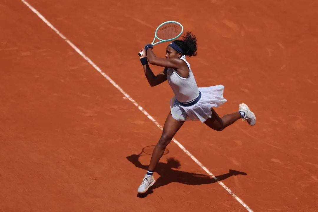 有望加快追 有望加快追